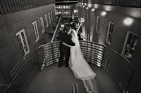 © Steve Jones-All Rights Reserved