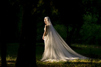 © Steve Jones-All Rights Reserved